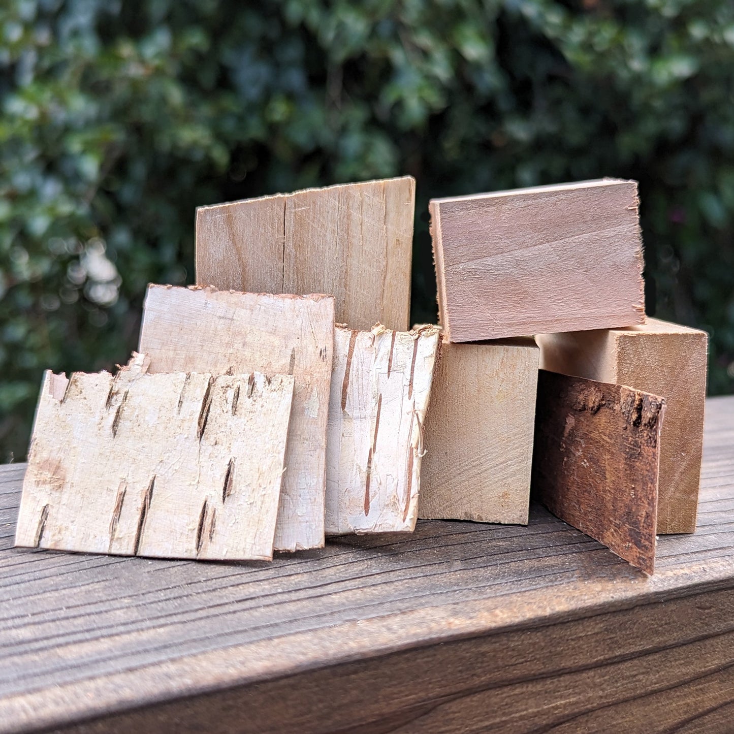 Birch Bark & Blocks | NEW - BinkyBunny.com House Rabbit Store