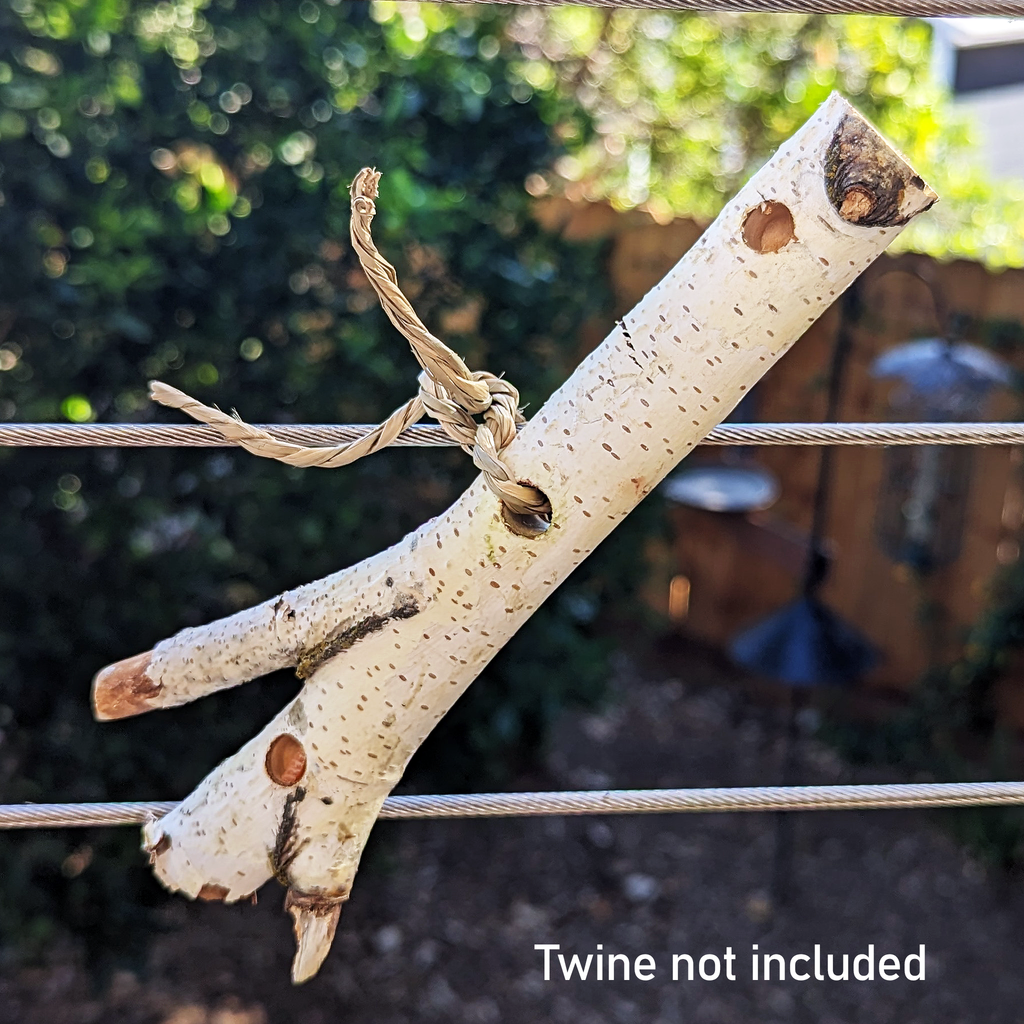 Birch Treat Stick (NEW) - BinkyBunny.com House Rabbit Store