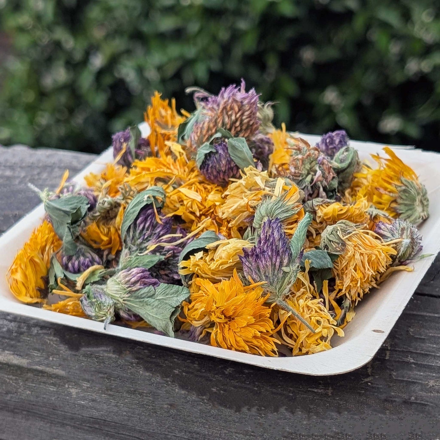 Calendula Clover Nibbles - NEW - BinkyBunny.com House Rabbit Store