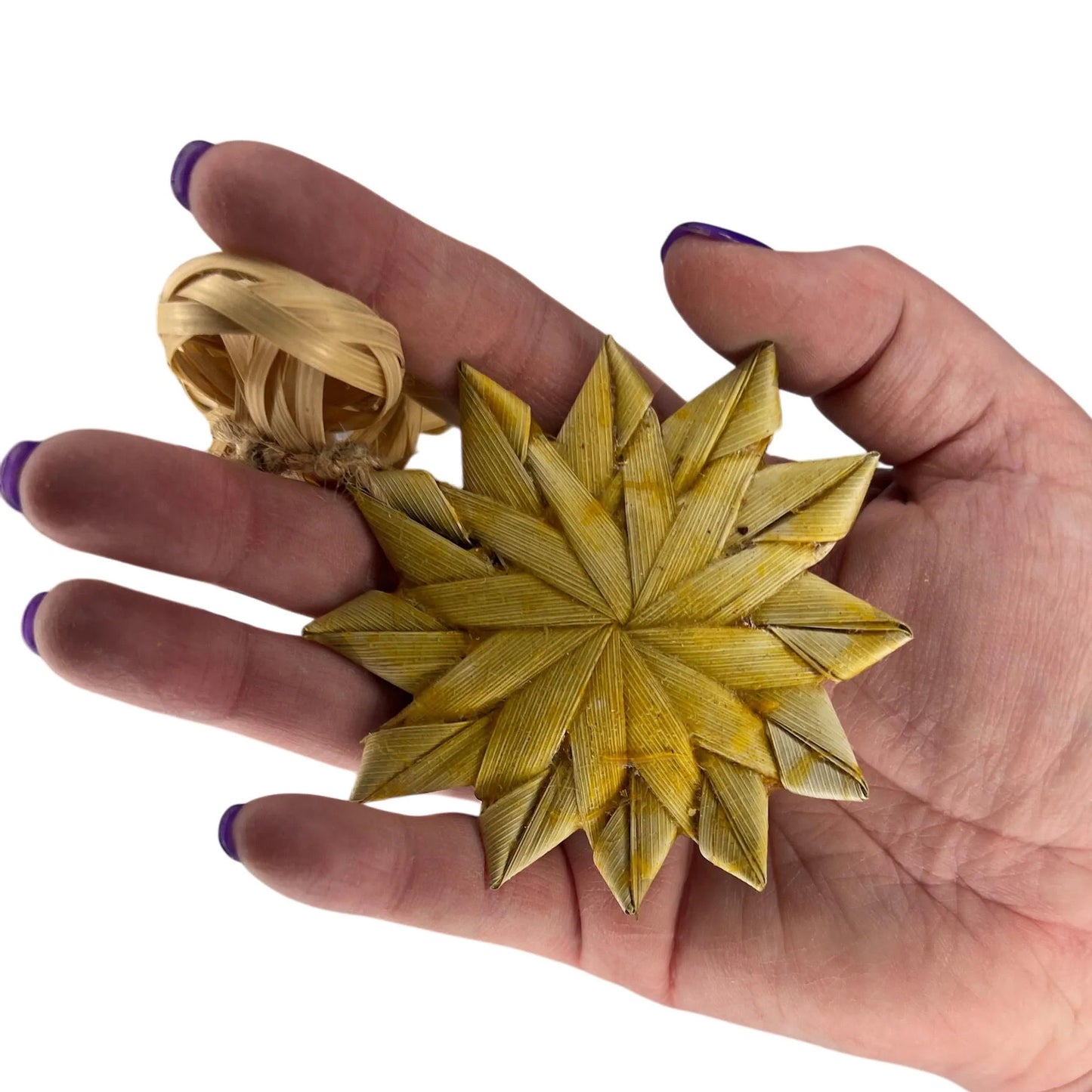 Daisy Chain | New - BinkyBunny.com House Rabbit Store