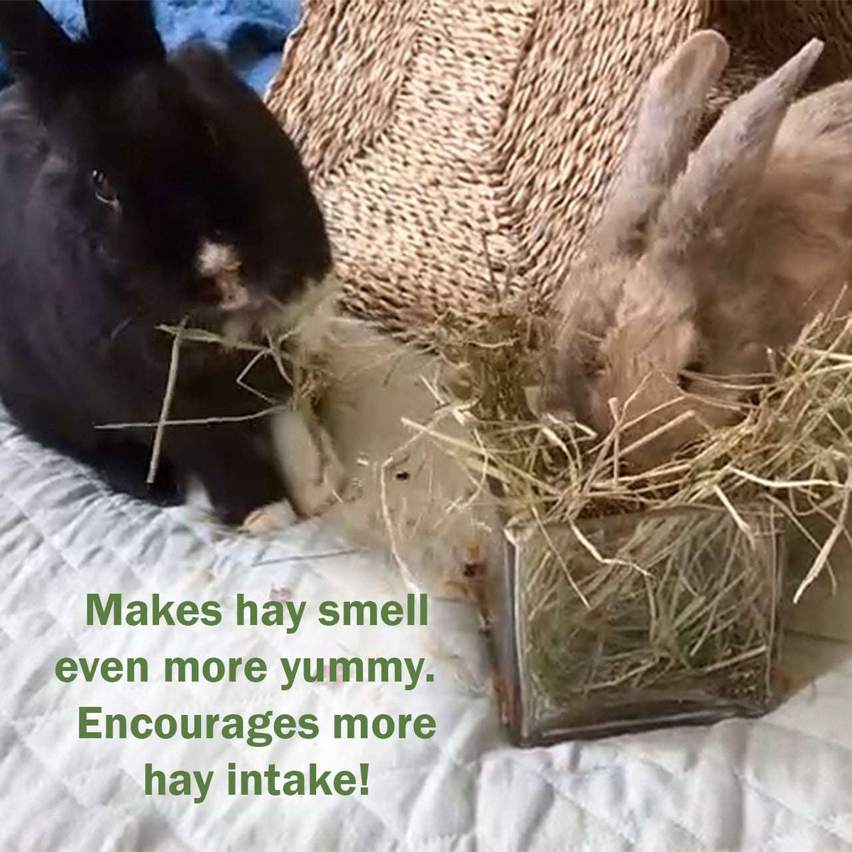 Floral Forage Mix | NEW - BinkyBunny.com House Rabbit Store