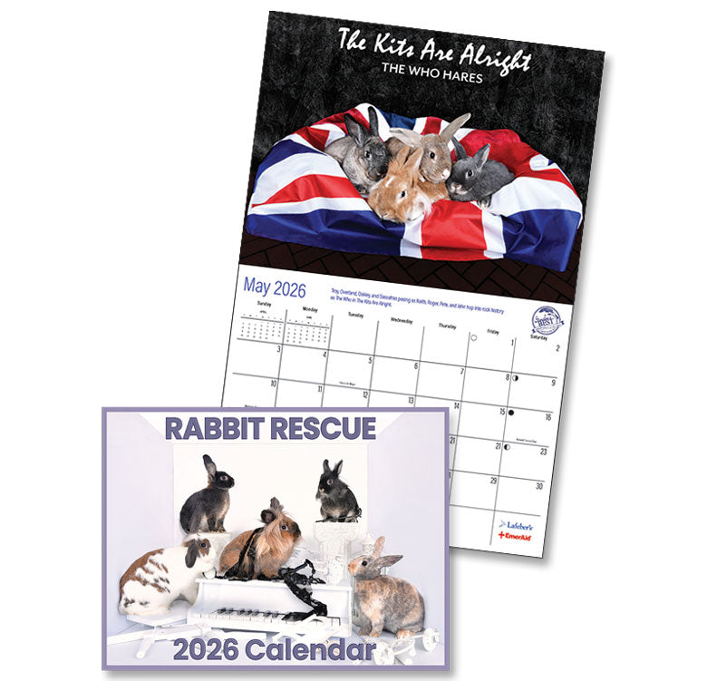 2026 Rabbit Rescue Calendar | NEW