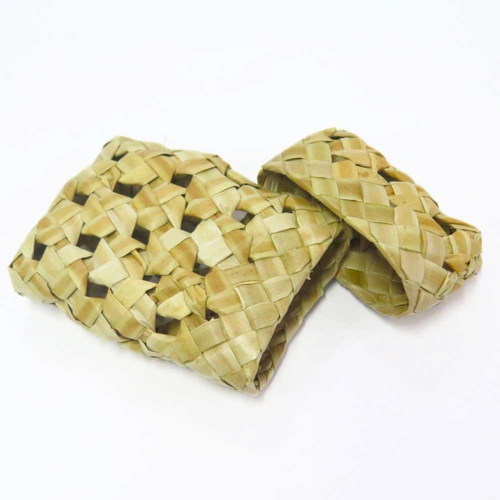 areca palm rabbit Palm Pocket