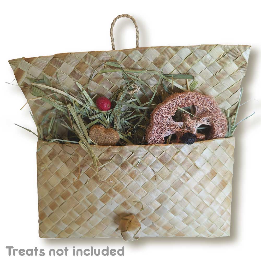 Palm Envelope | NEW