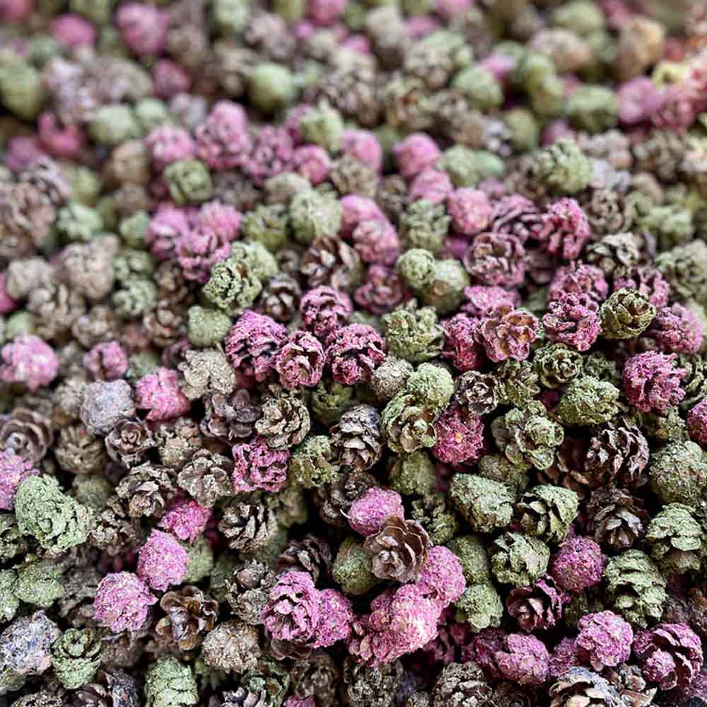 Pinecone Crunchies - BinkyBunny.com House Rabbit Store