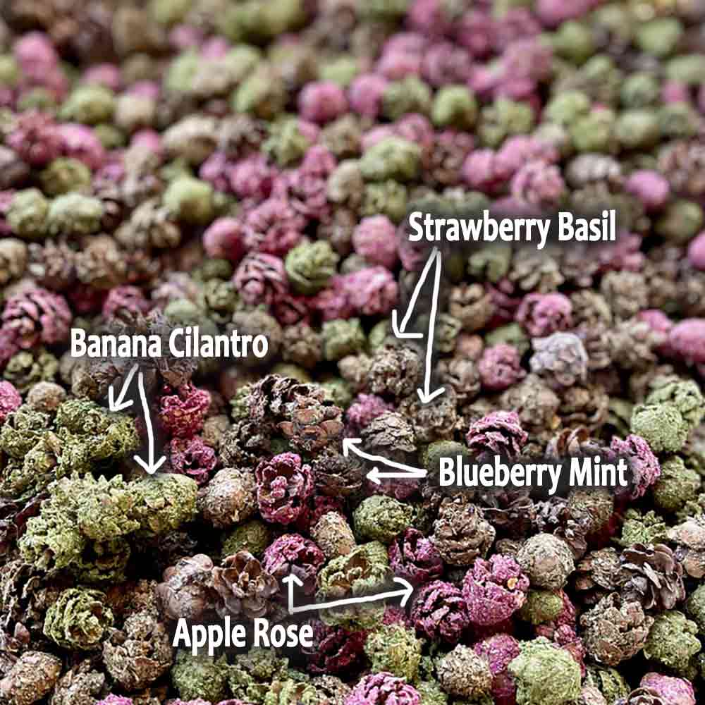 Pinecone Crunchies - BinkyBunny.com House Rabbit Store