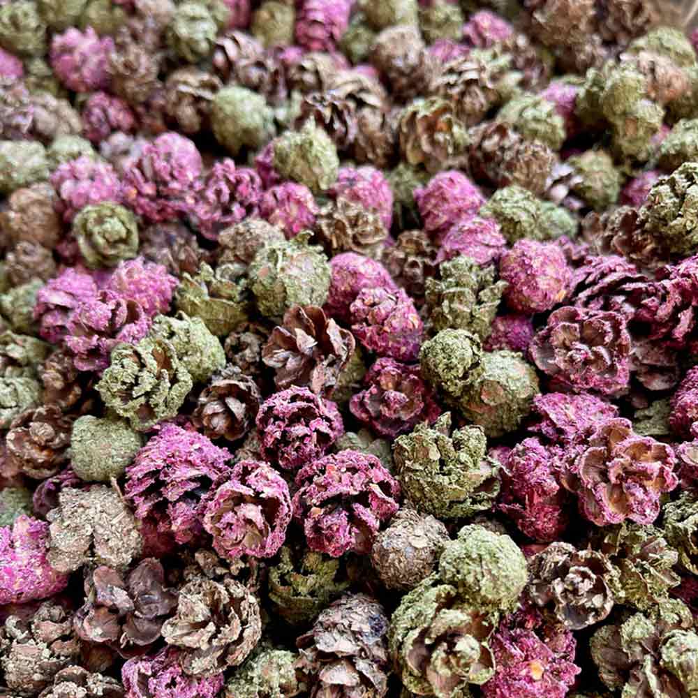 Pinecone Crunchies - BinkyBunny.com House Rabbit Store