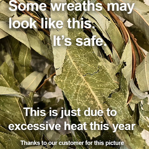 Willow Wreath with Foliage - BinkyBunny.com House Rabbit Store