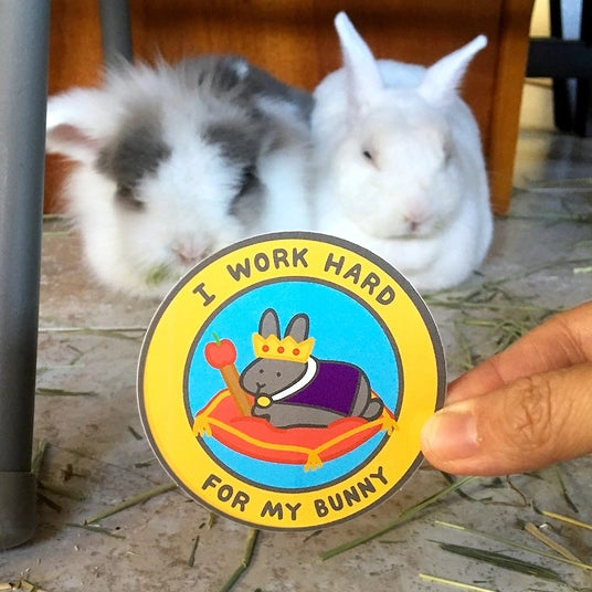 I Work Hard For My Bunny STICKER - BinkyBunny.com House Rabbit Store