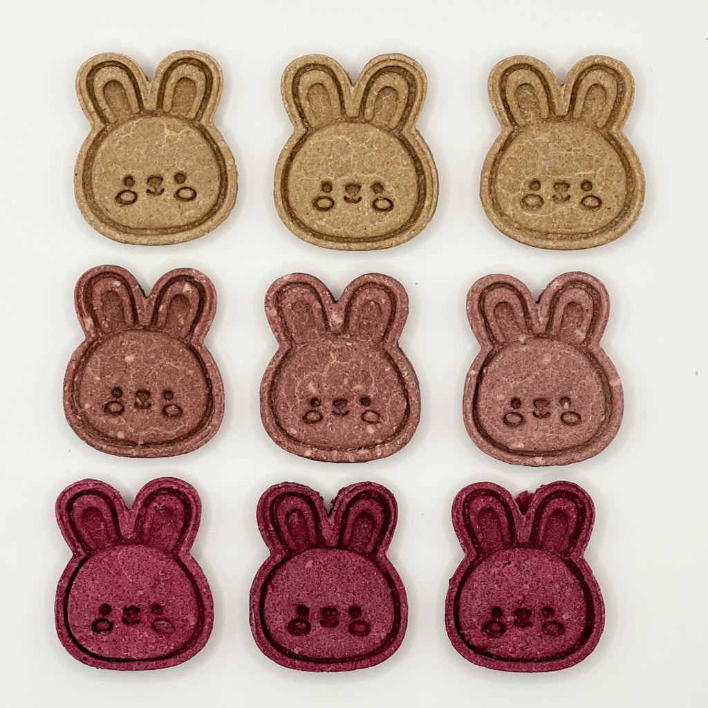 Colorful Bunnies - BinkyBunny.com House Rabbit Store