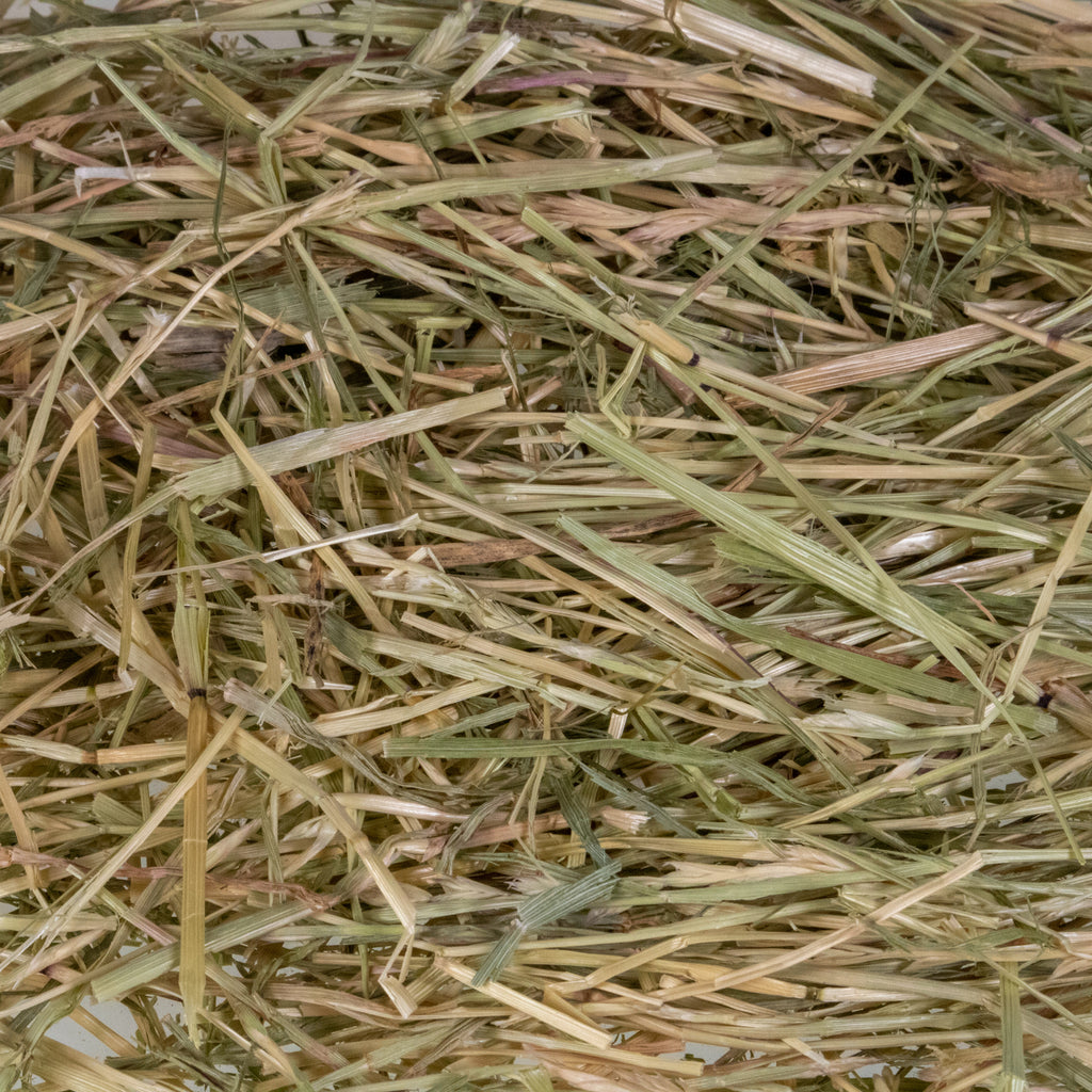 Mini Hay Bale - ORCHARD - BinkyBunny.com House Rabbit Store
