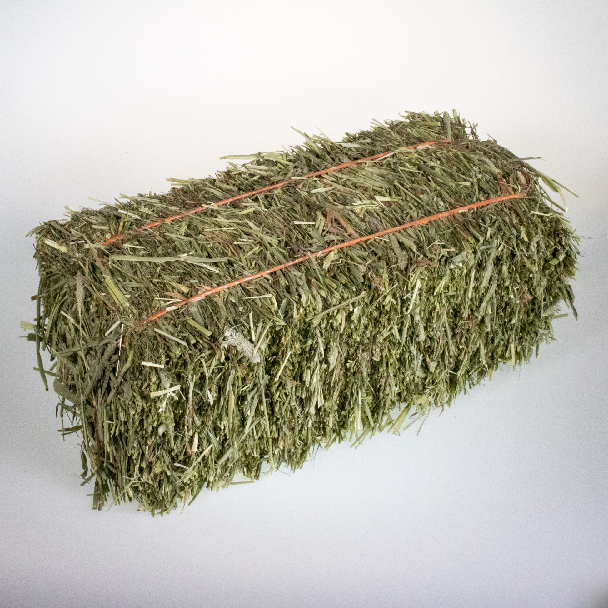 Mini Hay Bale - TIMOTHY (1st Cut) - BinkyBunny.com House Rabbit Store