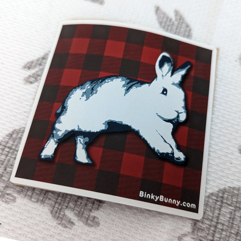 Mats & Sticks Activity Pack (Limited Edition) - BinkyBunny.com House Rabbit Store