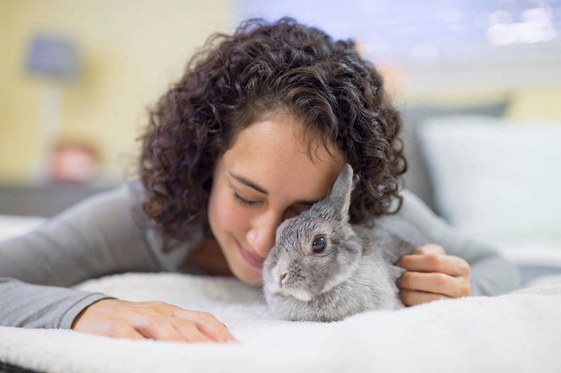 Is your house rabbit happy, healthy and safe?