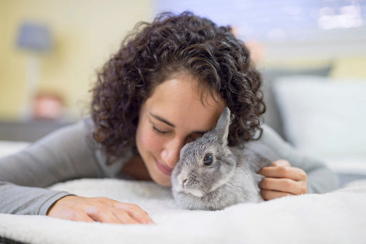 Is your house rabbit happy, healthy and safe?