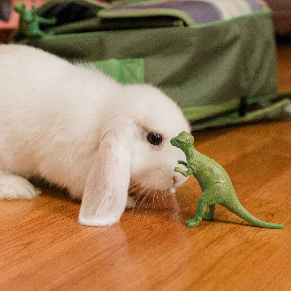 The Treat Detective