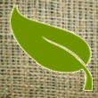 Organic Products for House Rabbits