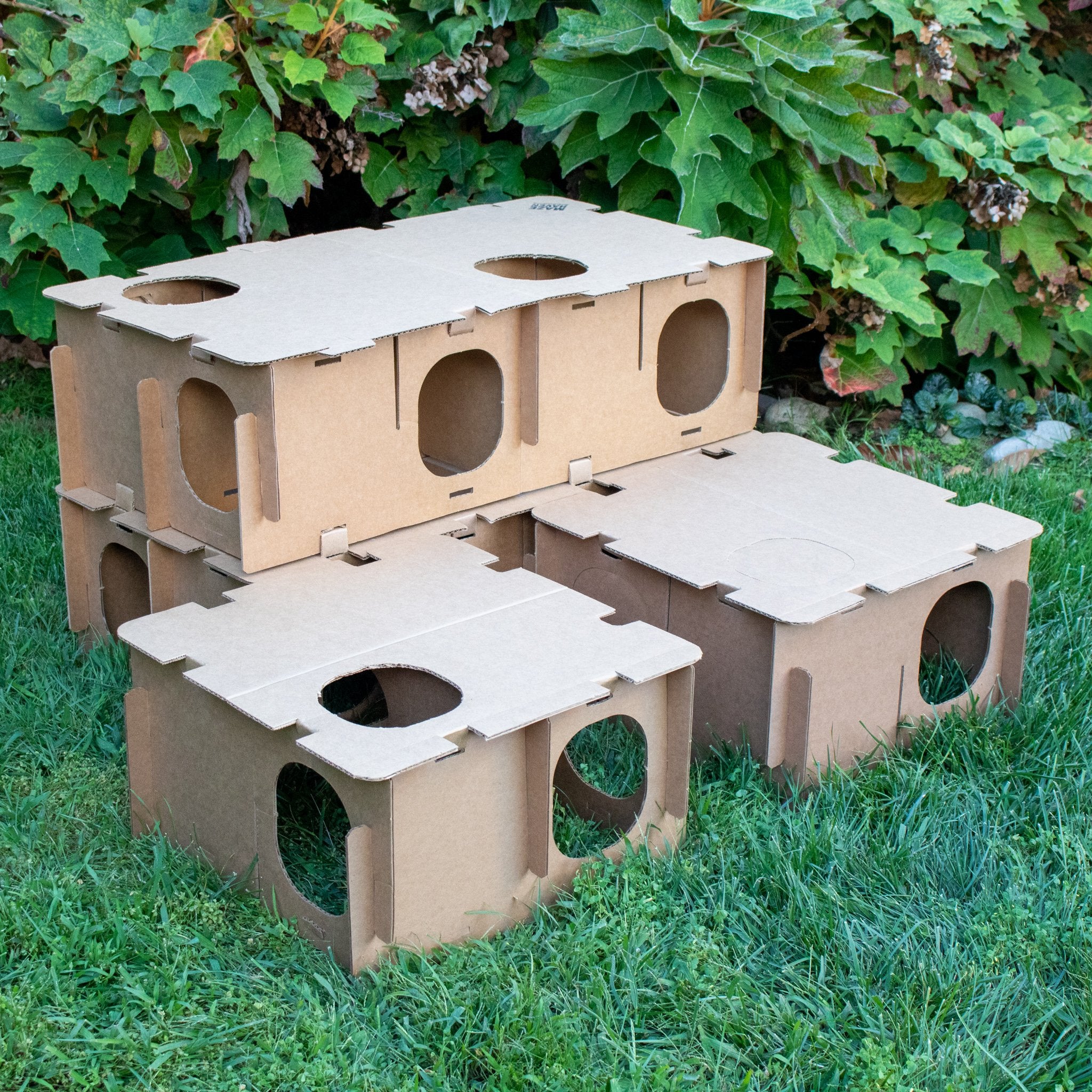 Maze, Mini, and Tunnel Haven