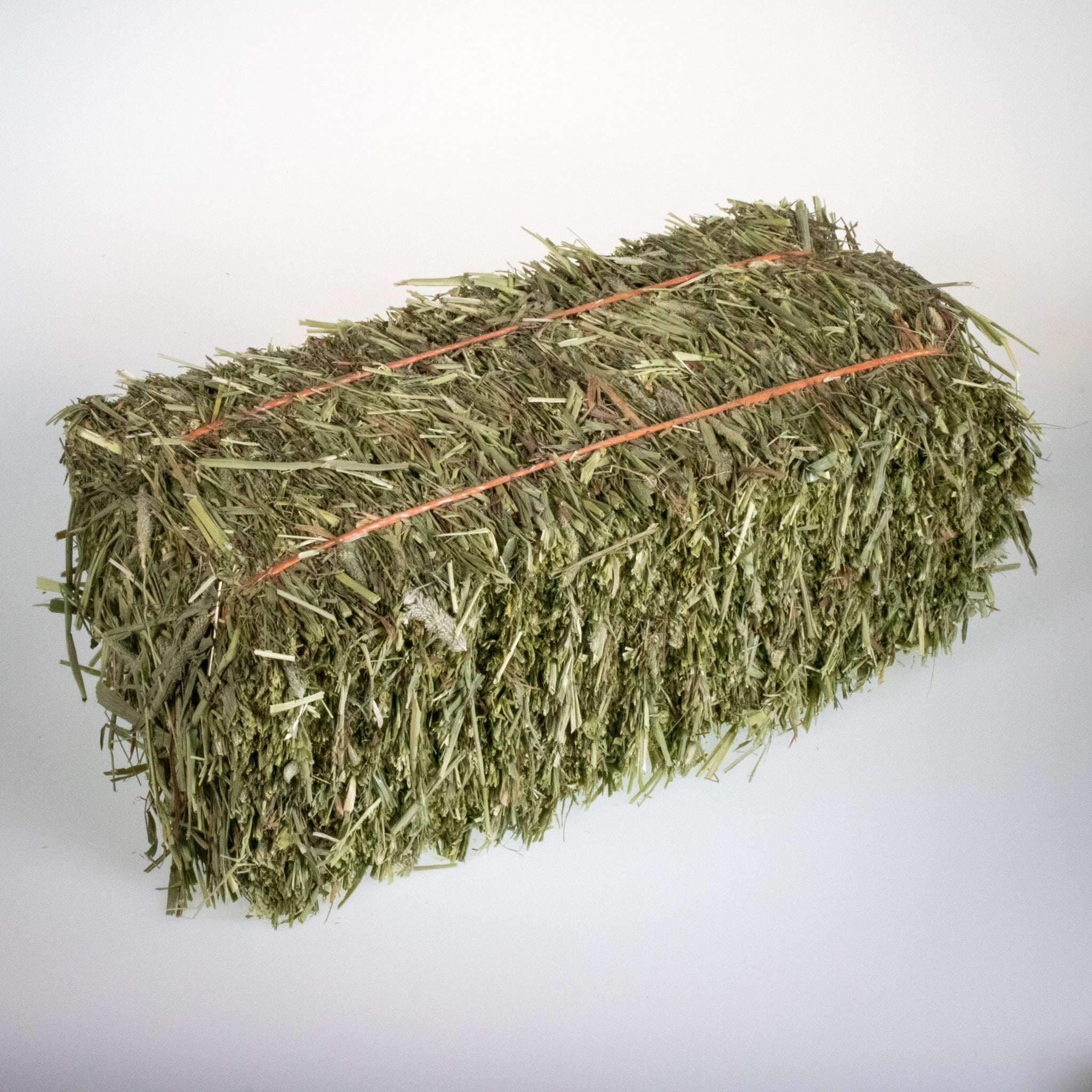 Hay