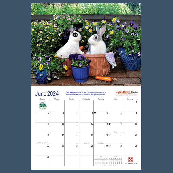 2024 Rabbit Rescue Calendar - BinkyBunny.com House Rabbit Store
