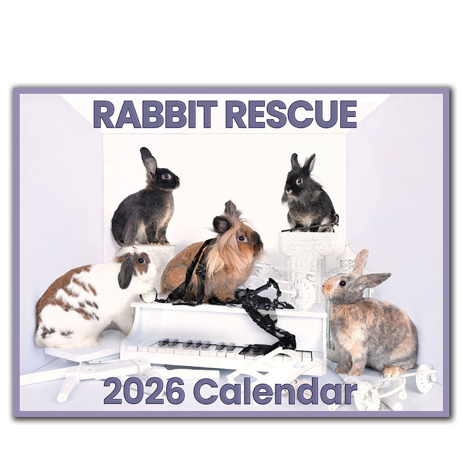 2026 Rabbit Rescue Calendar | NEW