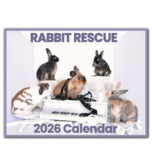 2026 Rabbit Rescue Calendar | NEW