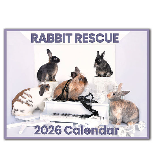 2026 Rabbit Rescue Calendar | NEW