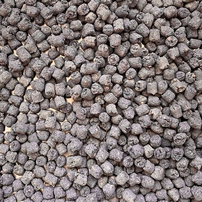 Digest Poppers | NEW - BinkyBunny.com House Rabbit Store