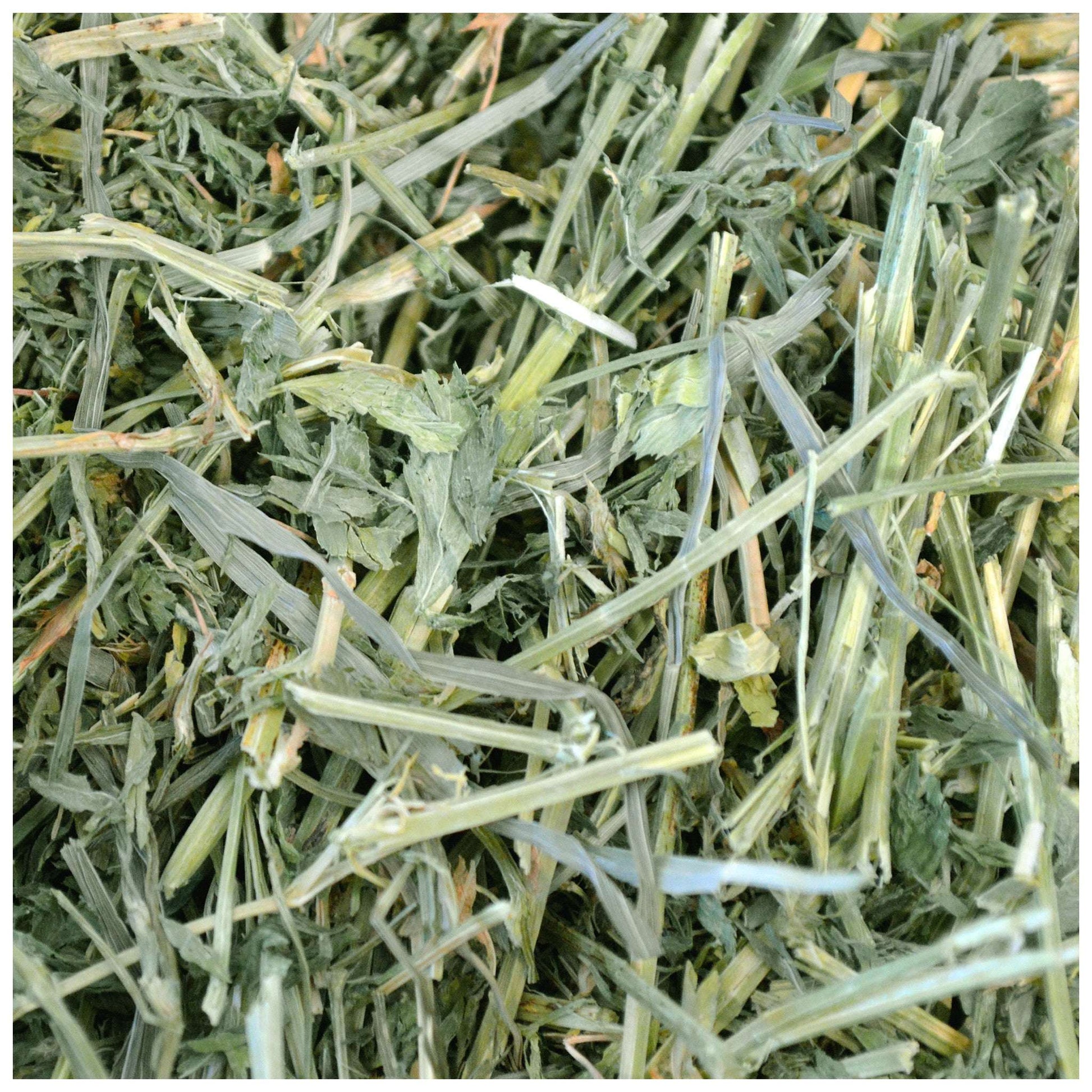 Alfalfa Hay - Now 40 oz - BinkyBunny.com House Rabbit Store