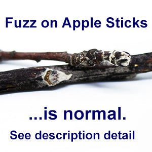 Apple Nibble Sticks (2 Choices) - NEW - BinkyBunny.com House Rabbit Store