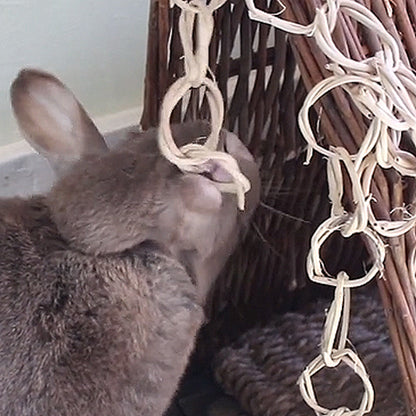 Vine Chain - 50 PACK - BinkyBunny.com House Rabbit Store