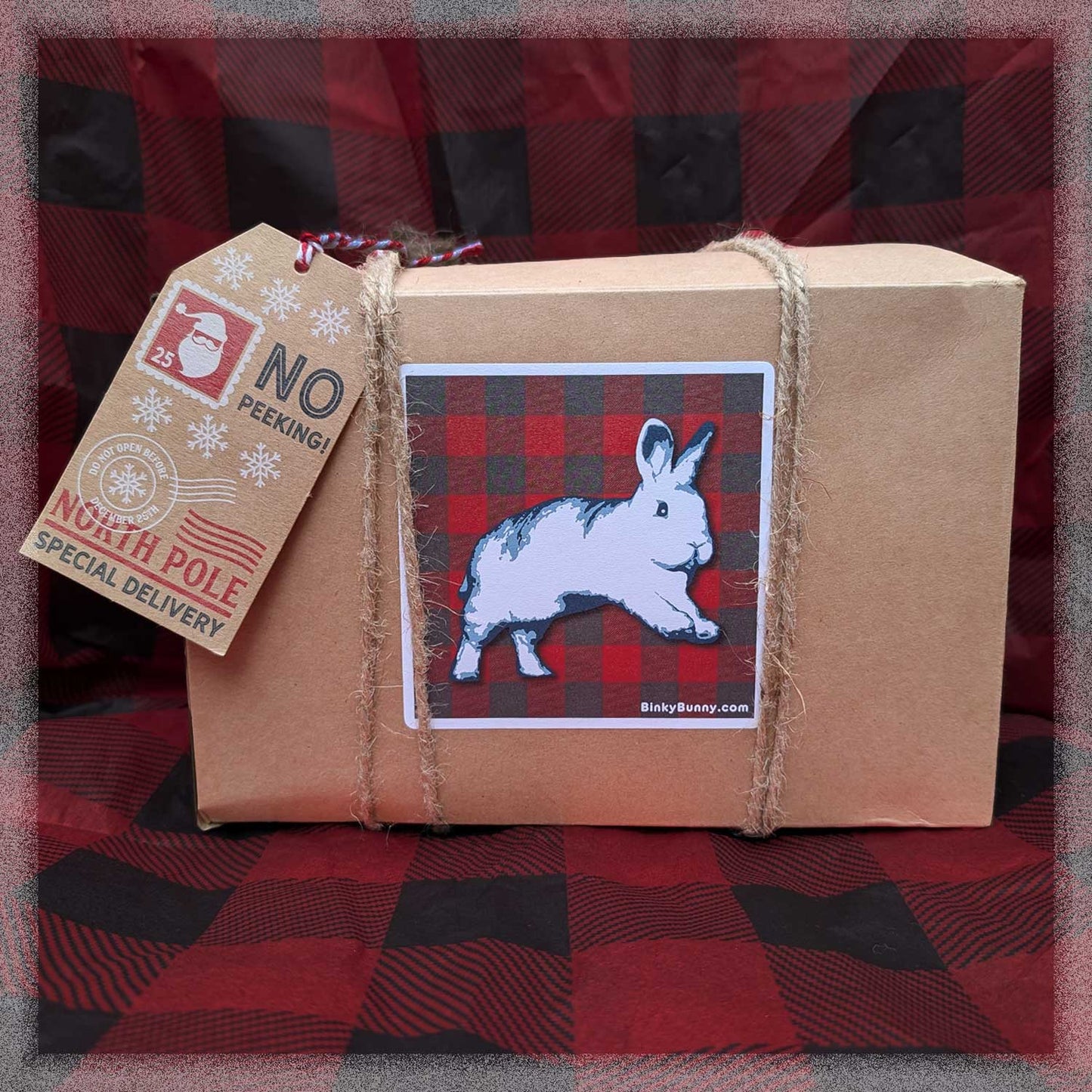 The Big Binky Holiday Box