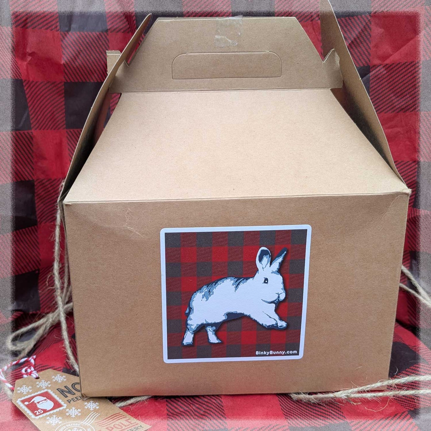 The Big Binky Holiday Box