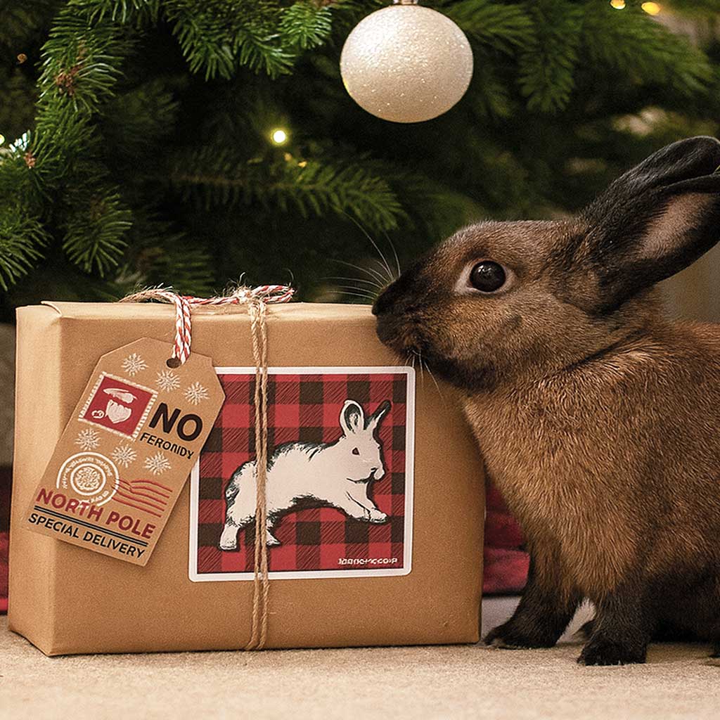 The Big Binky Holiday Box