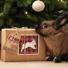 The Big Binky Holiday Box