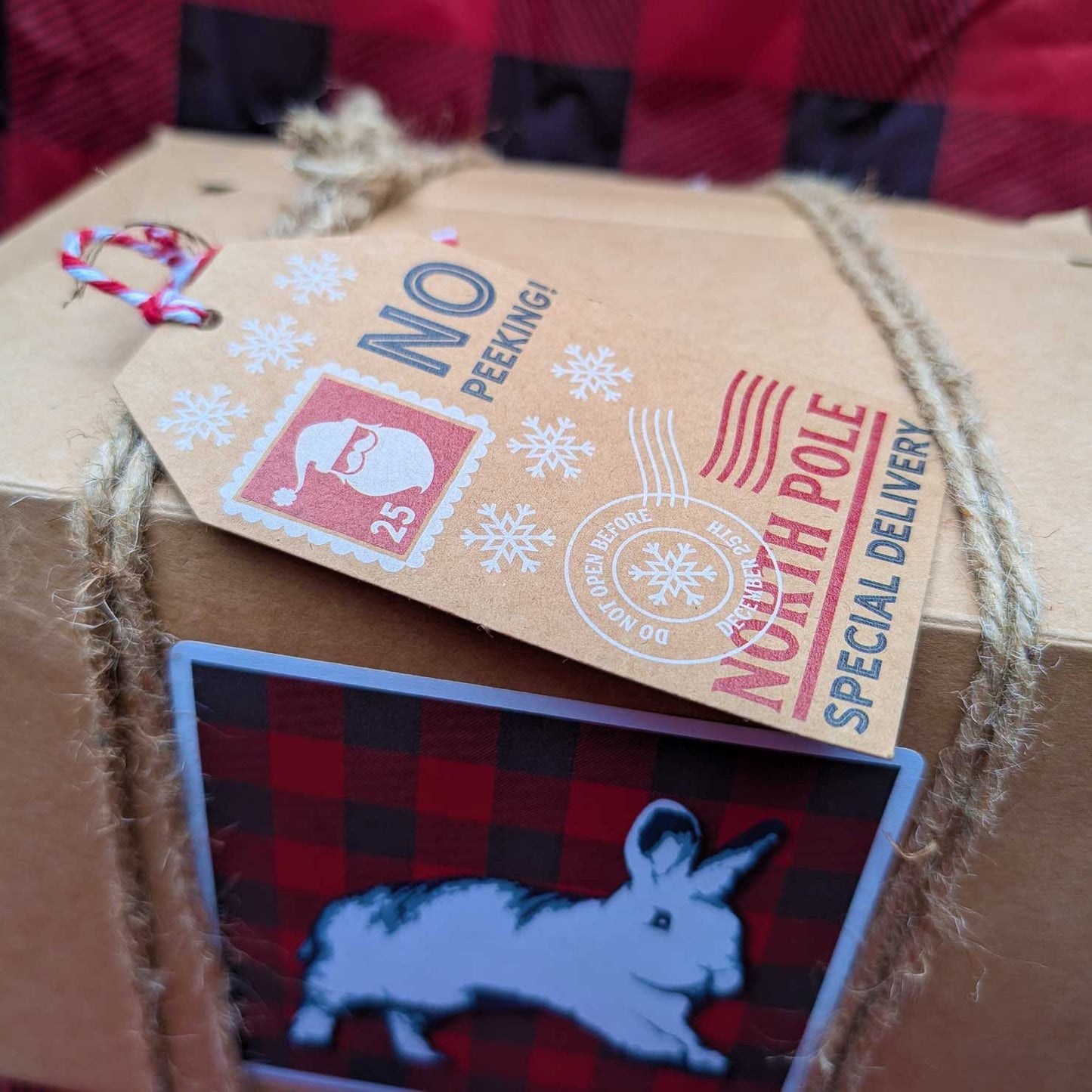 The Big Binky Holiday Box