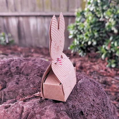 The Big Binky Holiday Box