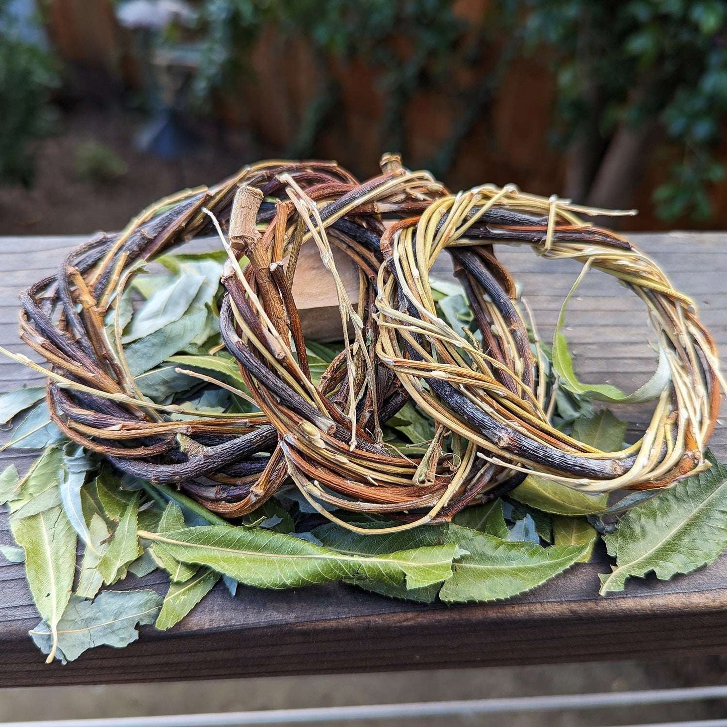 Bare Wreath TRIO with Sprinkled Leaves - BinkyBunny.com House Rabbit Store