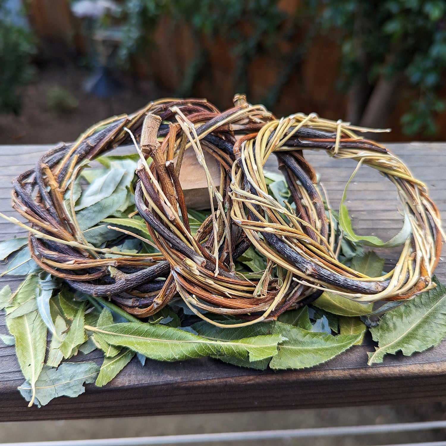 Bare Wreath TRIO with Sprinkled Leaves - BinkyBunny.com House Rabbit Store