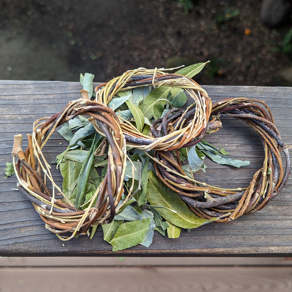 Bare Wreath TRIO with Sprinkled Leaves - BinkyBunny.com House Rabbit Store