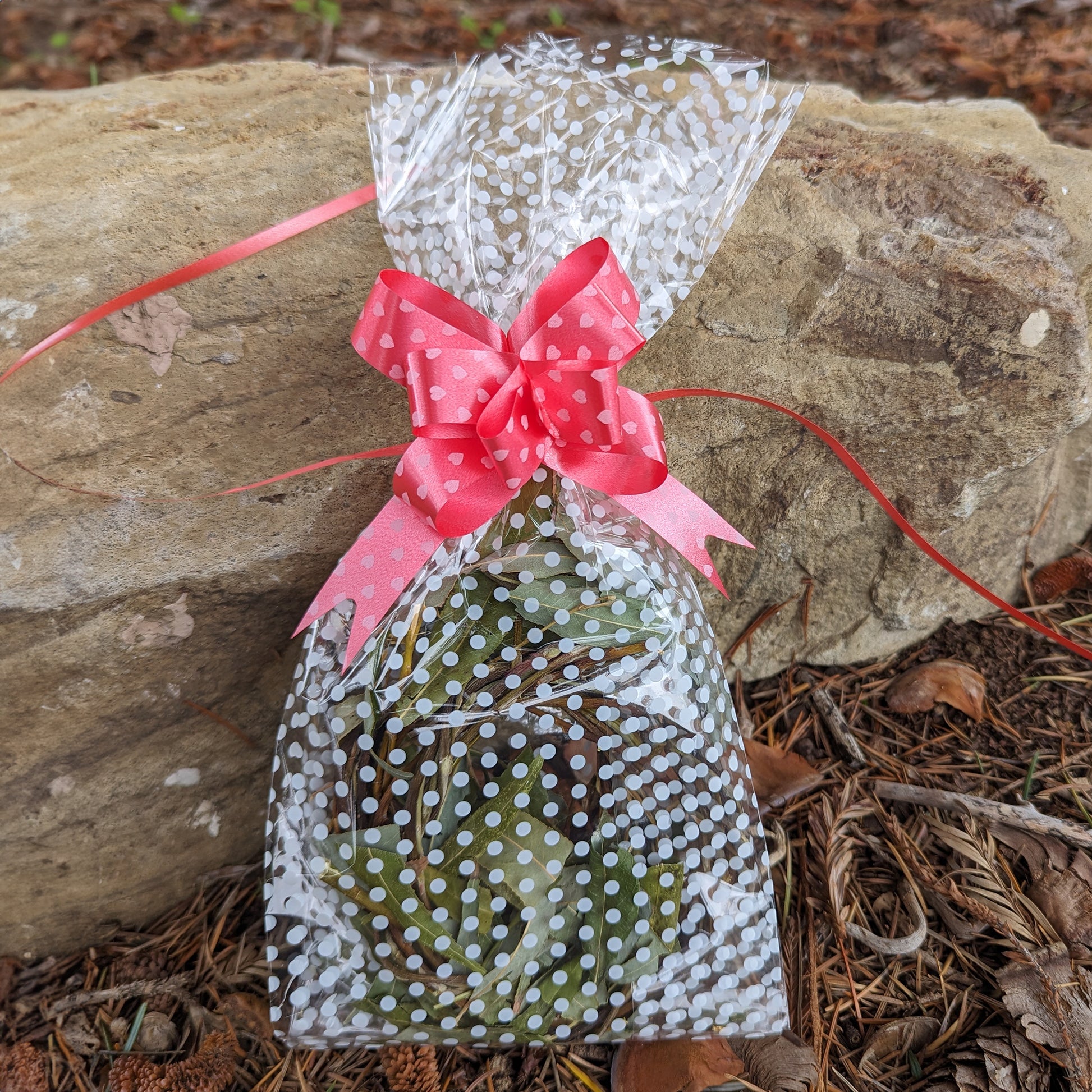Bare Wreath TRIO with Sprinkled Leaves - BinkyBunny.com House Rabbit Store