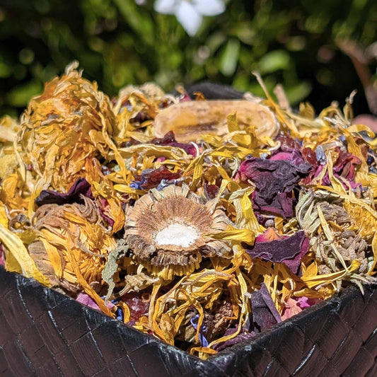 Binky Bliss Forage Blend | NEW