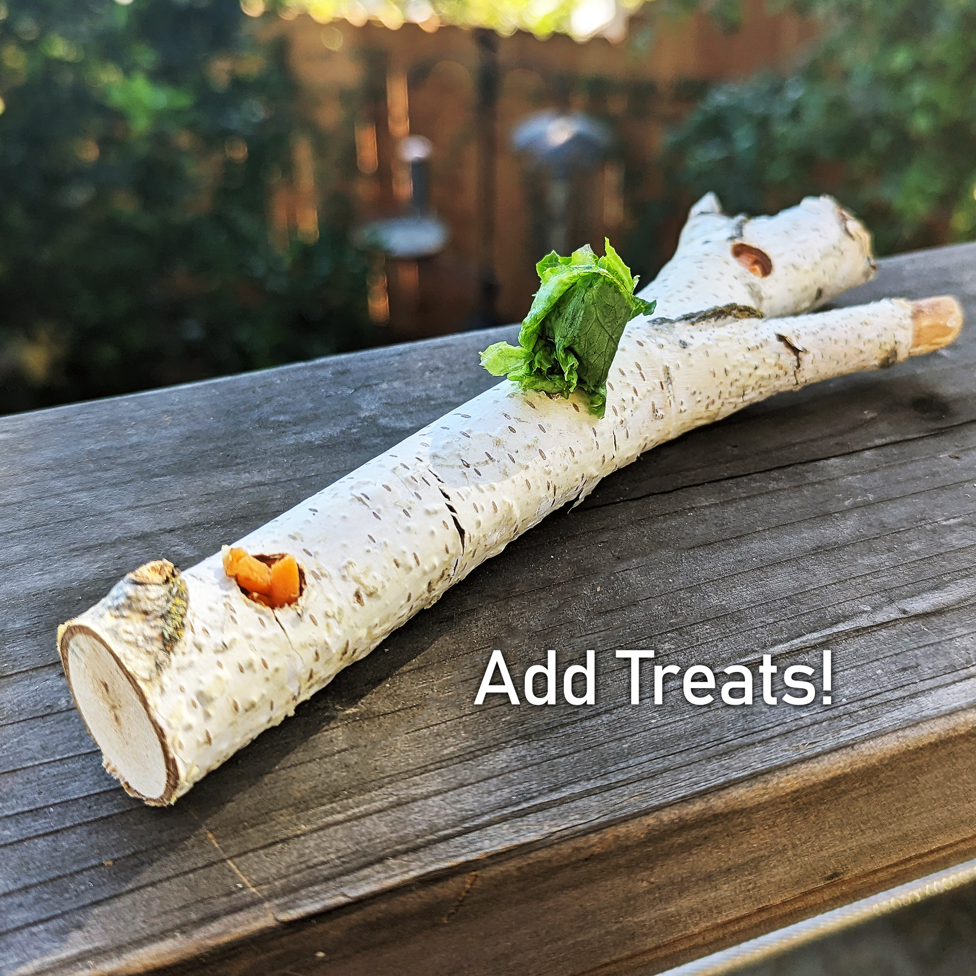 Birch Treat Stick (NEW) - BinkyBunny.com House Rabbit Store