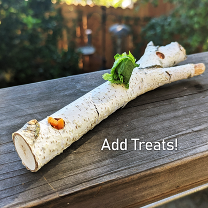 Birch Treat Stick (NEW) - BinkyBunny.com House Rabbit Store