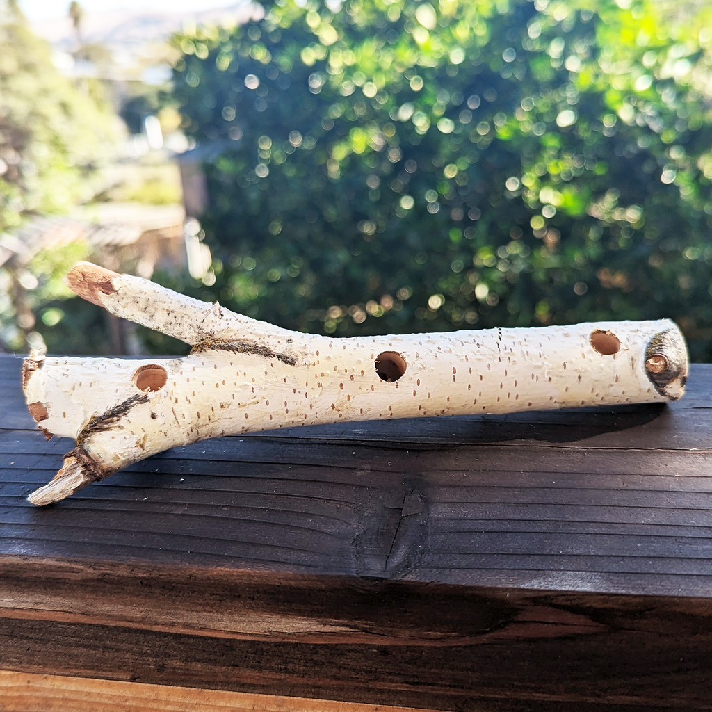 Birch Treat Stick (NEW) - BinkyBunny.com House Rabbit Store