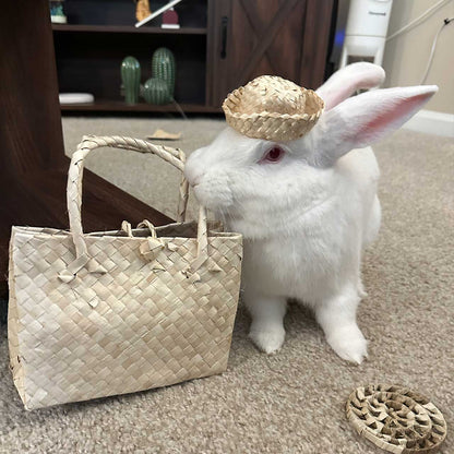 Palm Bunny Bag Bundle | NEW - BinkyBunny.com House Rabbit Store