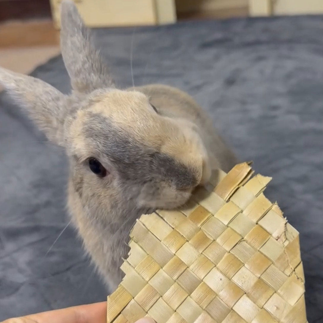 Mini Palm Mat | NEW - BinkyBunny.com House Rabbit Store