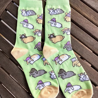 Bunny Socks with Hats - BinkyBunny.com House Rabbit Store