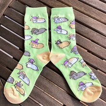 Bunny Socks with Hats - BinkyBunny.com House Rabbit Store