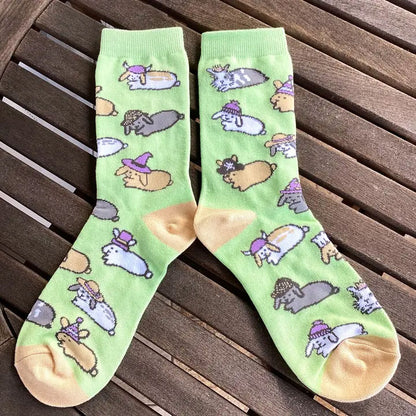 Bunny Socks with Hats - BinkyBunny.com House Rabbit Store